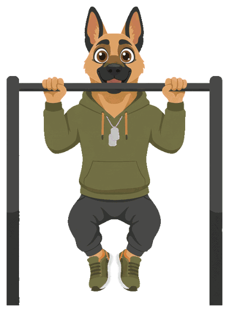 Gunny the German Shepherd doing a pull-up